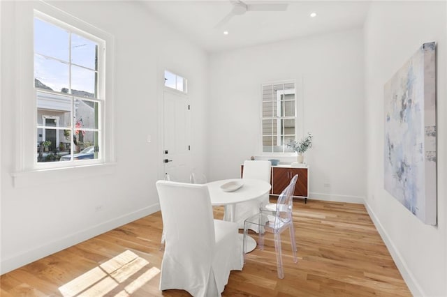 dining room featuring ceiling fan and light wood-type flooring