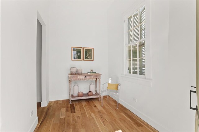 hall featuring light hardwood / wood-style floors