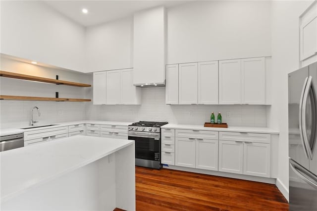 kitchen with white cabinetry, tasteful backsplash, stainless steel appliances, dark hardwood / wood-style floors, and sink