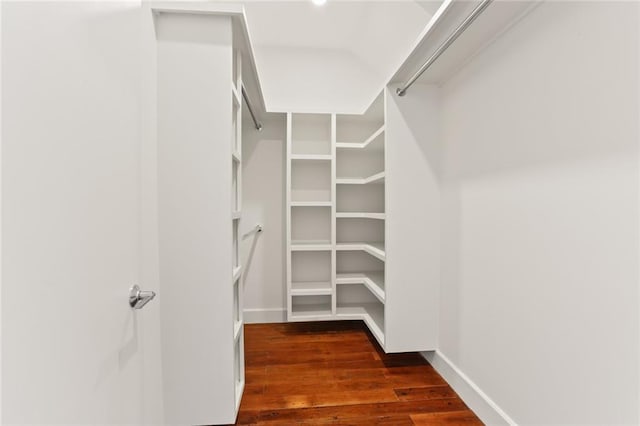 spacious closet with dark hardwood / wood-style flooring