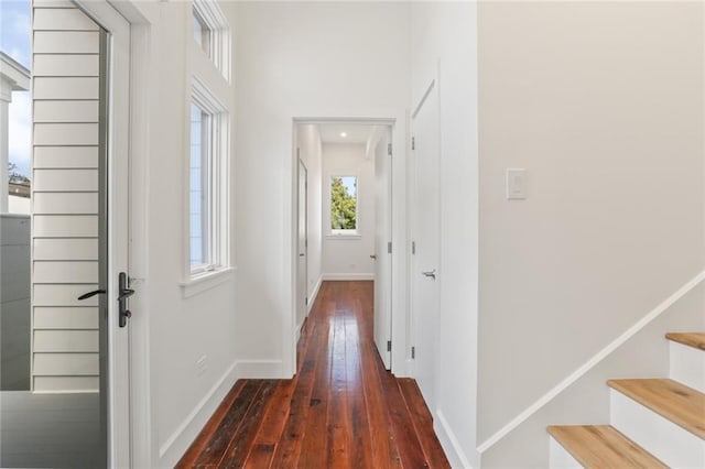 hallway with dark wood-type flooring