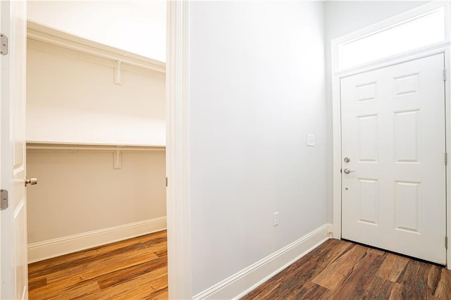 foyer featuring dark wood-type flooring