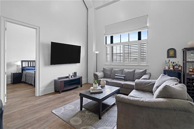 living room with a high ceiling and hardwood / wood-style flooring