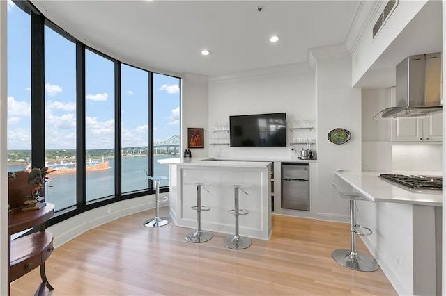 interior space with ventilation hood, stainless steel gas stovetop, a kitchen breakfast bar, and kitchen peninsula