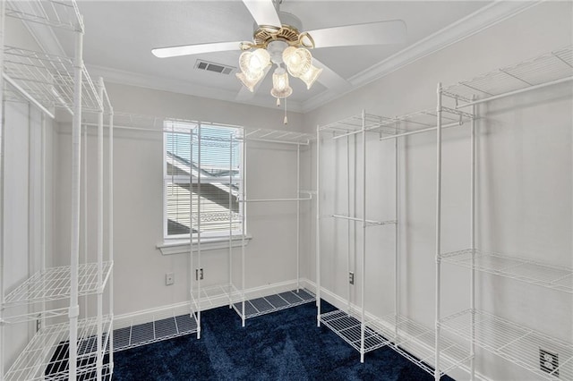 walk in closet featuring ceiling fan and carpet