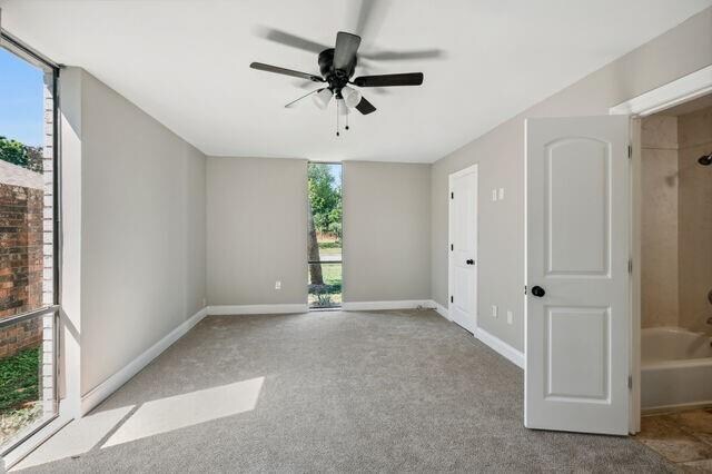 unfurnished room with ceiling fan, light colored carpet, and a wealth of natural light