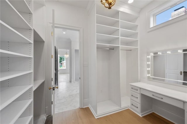 walk in closet with light wood-type flooring