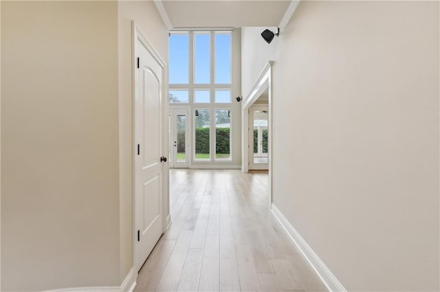 hallway featuring light wood-type flooring, crown molding, and plenty of natural light