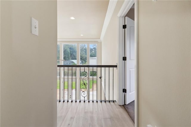 corridor with ornamental molding, light hardwood / wood-style flooring, and floor to ceiling windows