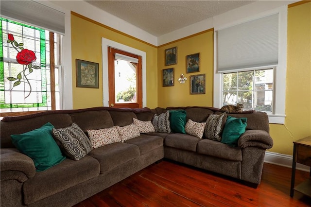 living room with dark hardwood / wood-style floors