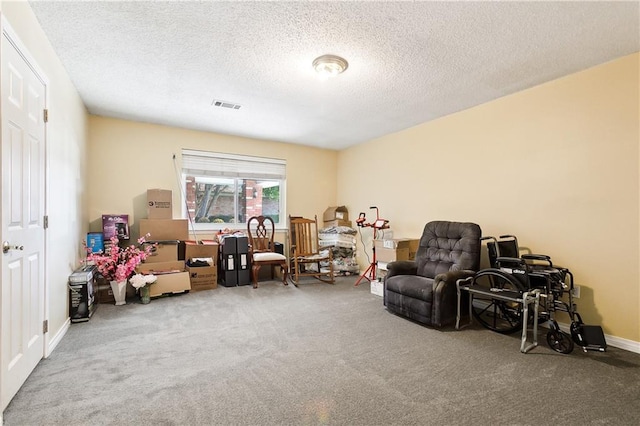 living area with carpet flooring and a textured ceiling