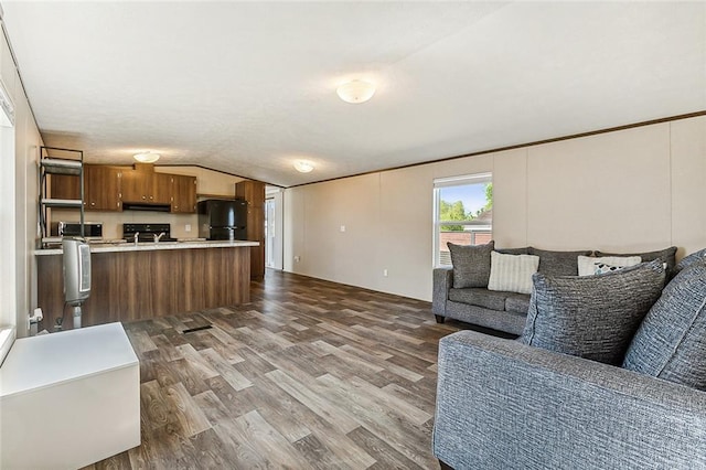 living room featuring wood-type flooring and lofted ceiling