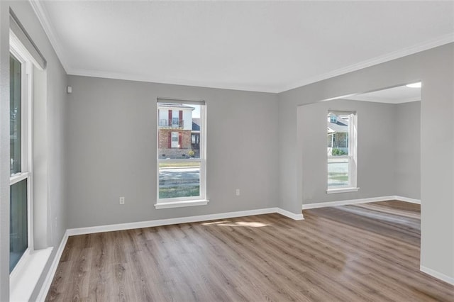 unfurnished room featuring crown molding and light hardwood / wood-style floors