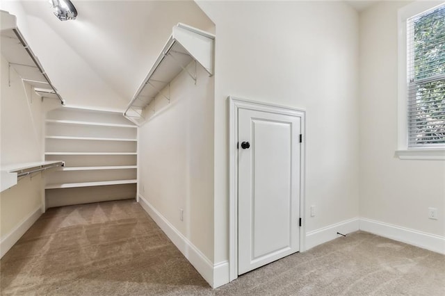 walk in closet featuring light colored carpet