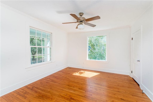 spare room with ornamental molding, light wood-type flooring, and ceiling fan