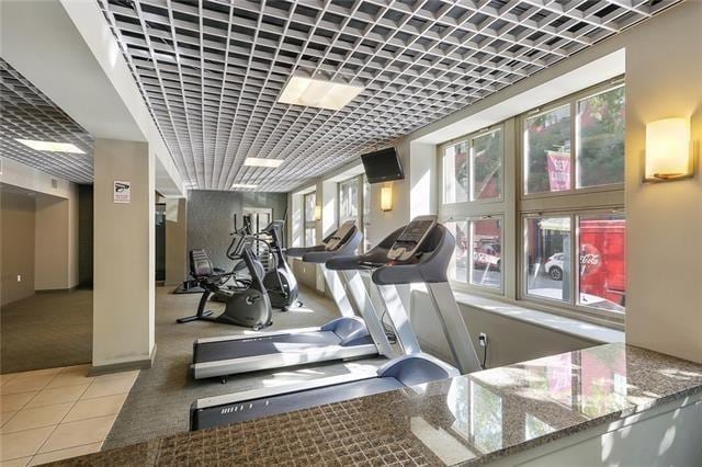 workout area featuring carpet