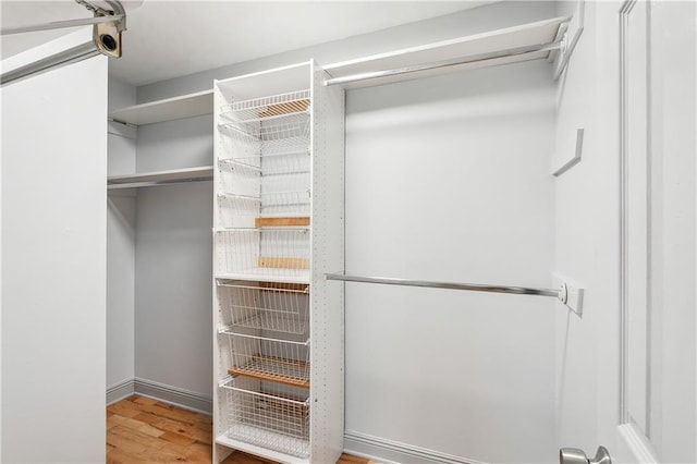 spacious closet with hardwood / wood-style flooring