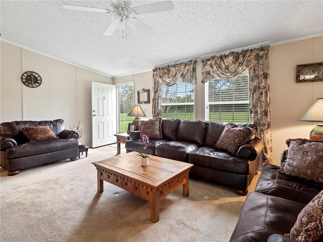 living room with ceiling fan, ornamental molding, carpet floors, and a textured ceiling