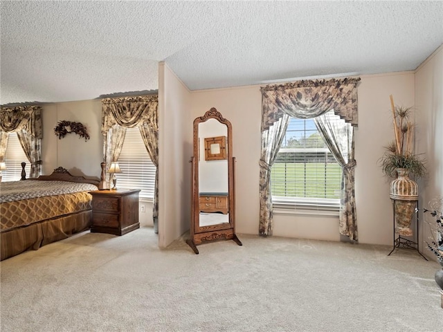 carpeted bedroom with a textured ceiling