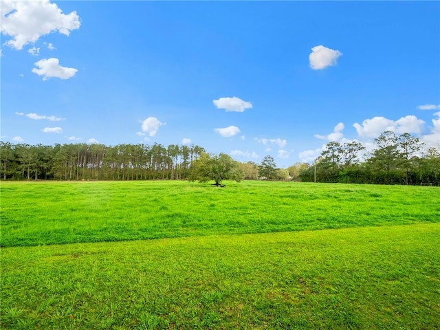 view of yard with a rural view