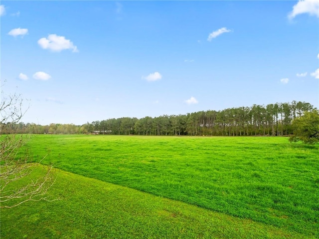 view of yard featuring a rural view