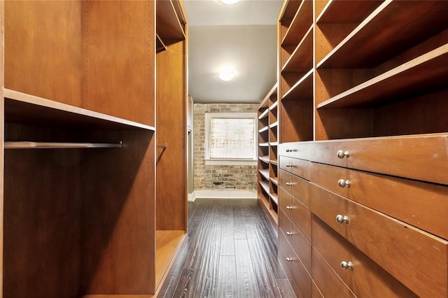 spacious closet featuring dark hardwood / wood-style flooring