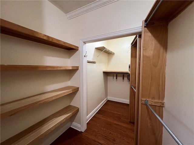 spacious closet with dark wood-type flooring