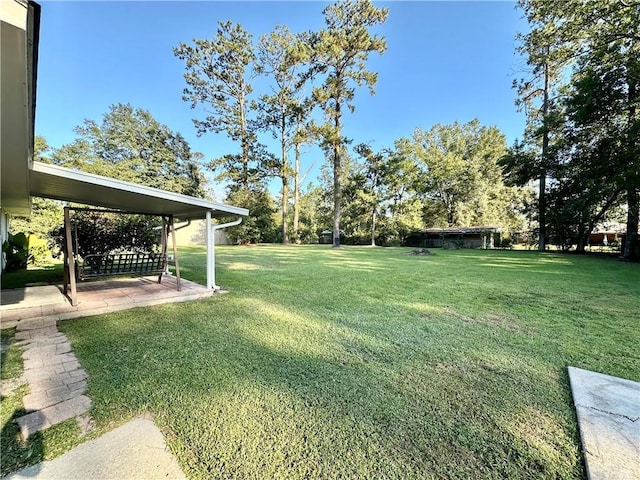 view of yard featuring a patio area