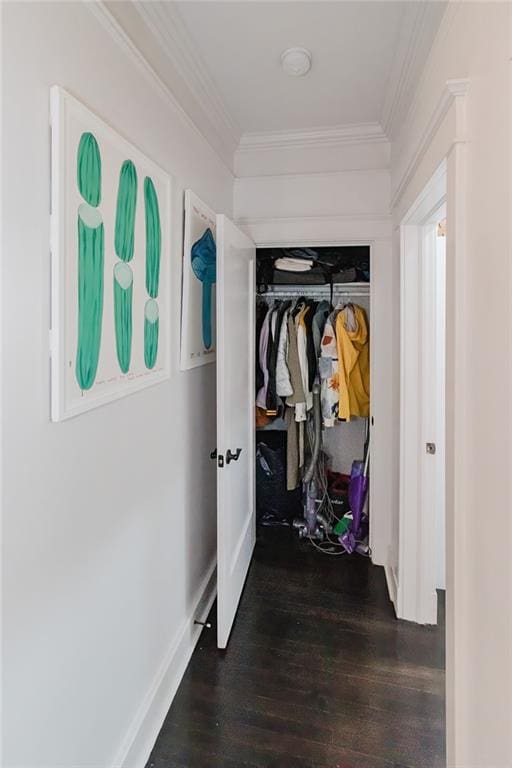 hallway with dark hardwood / wood-style floors and crown molding