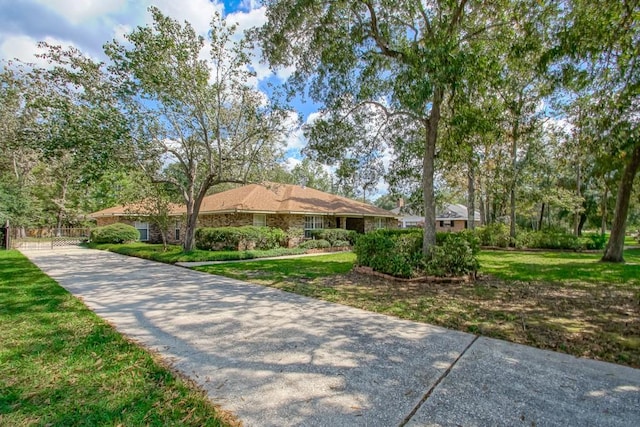 ranch-style house featuring a front yard