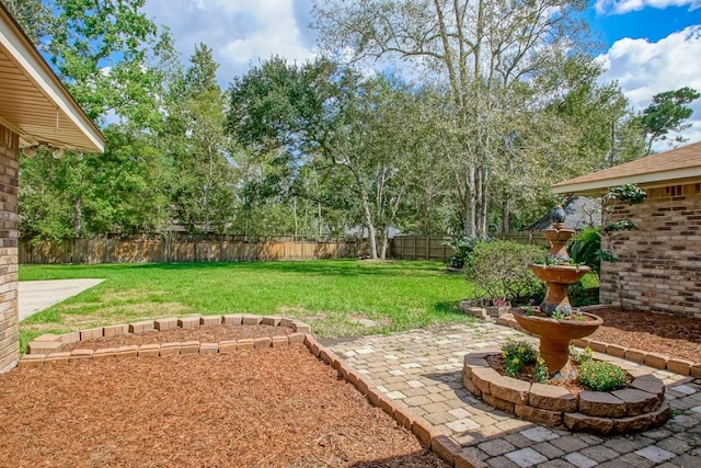 view of yard featuring a patio