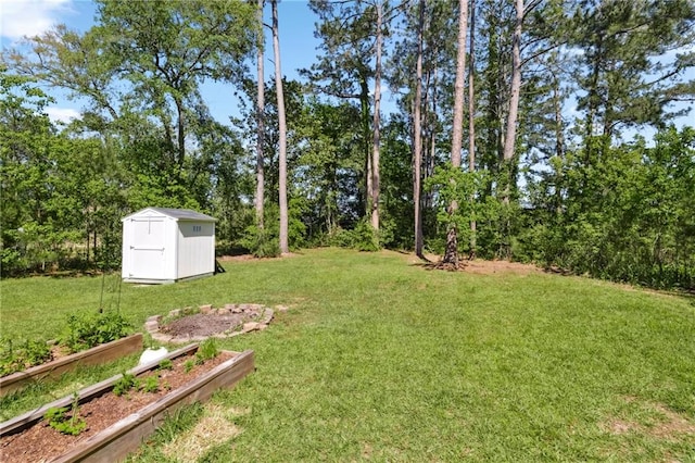 view of yard with a shed