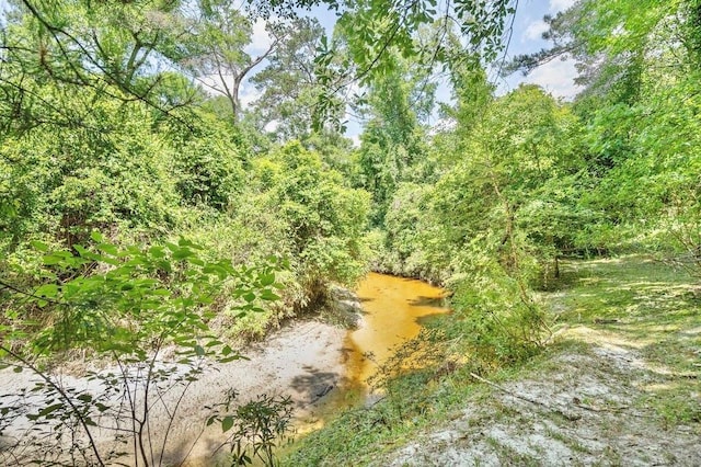 73527 Military Rd, Covington, LA 70435 - view of local wilderness