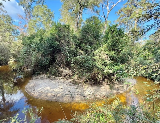 73527 Military Rd, Covington, LA 70435 - view of nature