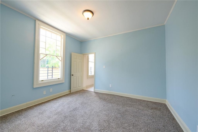 unfurnished room featuring crown molding and carpet