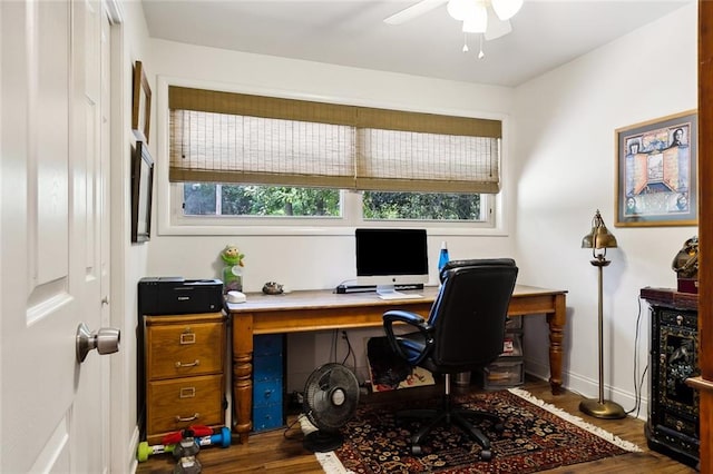 office featuring ceiling fan and dark hardwood / wood-style floors