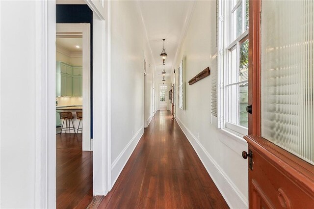 hallway featuring dark hardwood / wood-style floors and crown molding