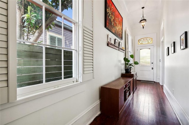 entryway featuring dark wood-type flooring