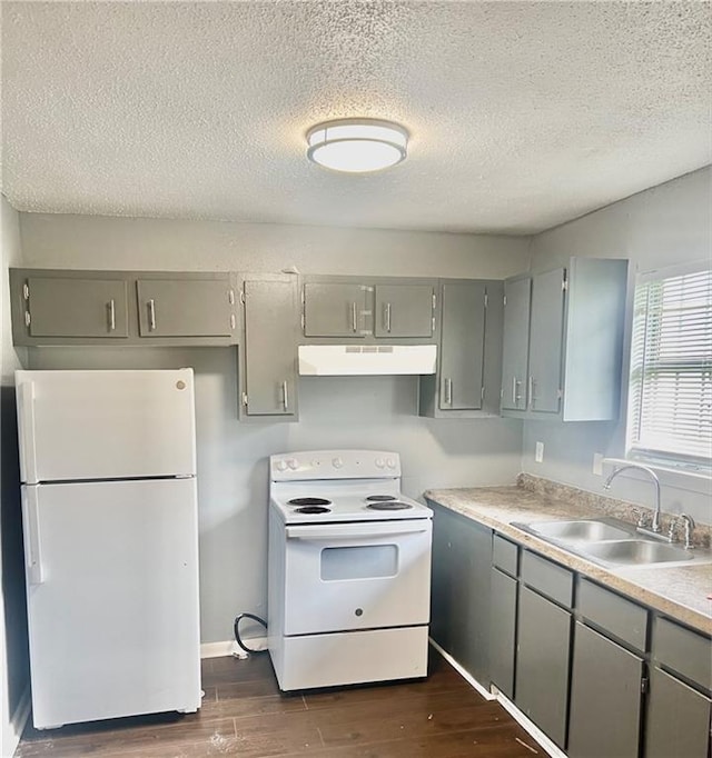 kitchen featuring dark wood-type flooring, sink, gray cabinets, a textured ceiling, and white appliances