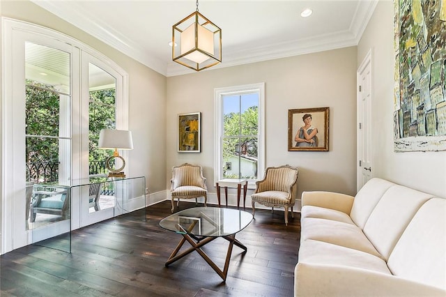 living area with dark hardwood / wood-style floors and crown molding