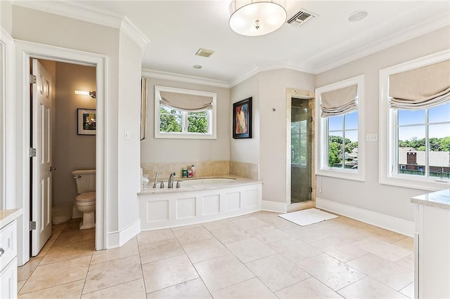 full bathroom with vanity, toilet, and a wealth of natural light