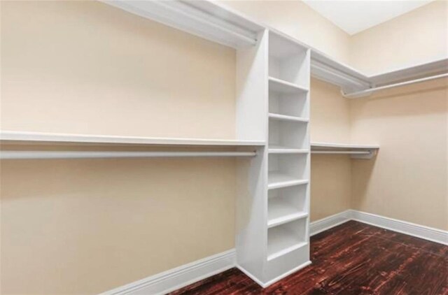 spacious closet featuring wood-type flooring