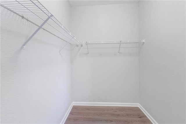 spacious closet featuring hardwood / wood-style flooring