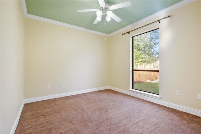 spare room featuring carpet floors, crown molding, and ceiling fan