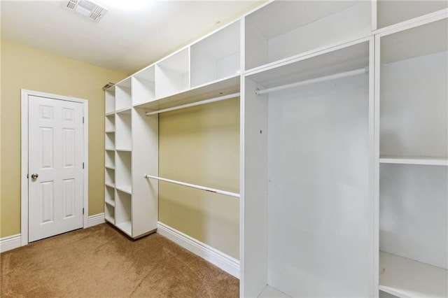 spacious closet featuring carpet floors