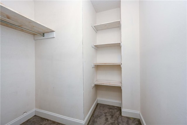 walk in closet with dark colored carpet