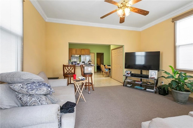 carpeted living room with ornamental molding and ceiling fan