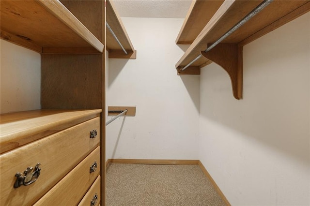 walk in closet featuring light colored carpet