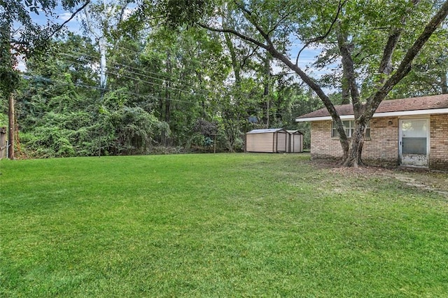 view of yard featuring a storage shed