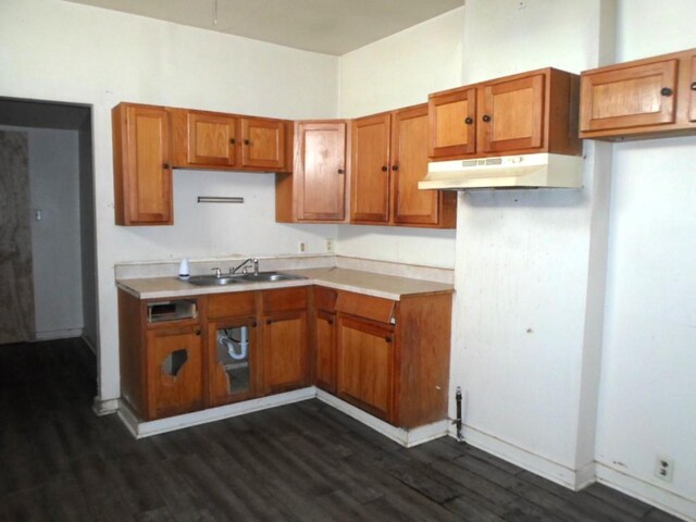 kitchen with dark hardwood / wood-style floors and sink